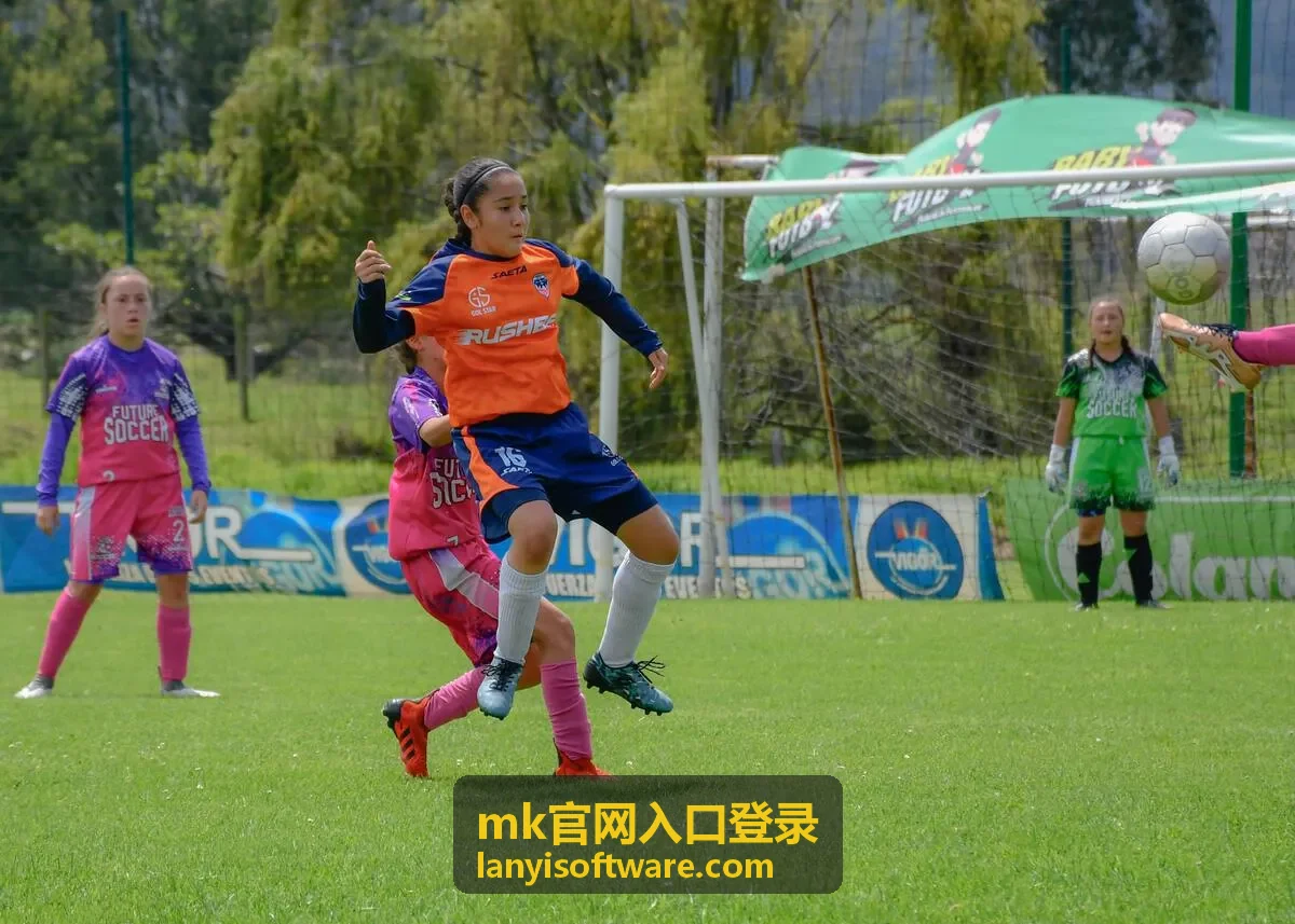 mk官网入口登录账号核验与支持提交步骤示意