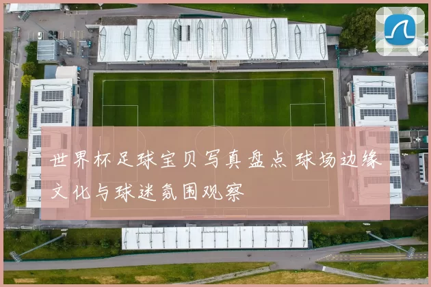 世界杯足球宝贝写真盘点 球场边缘文化与球迷氛围观察