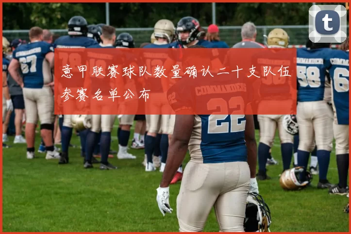 意甲联赛球队数量确认二十支队伍参赛名单公布